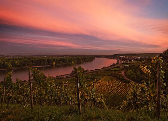 Rheinhessen