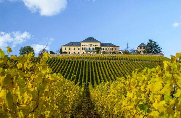 Rheingau