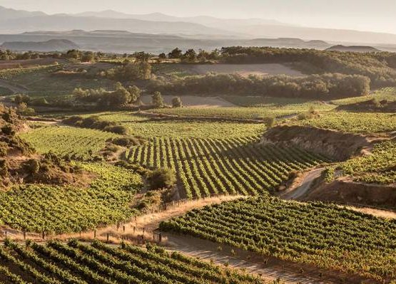Rioja
