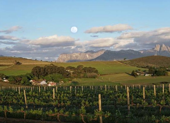 Stellenbosch