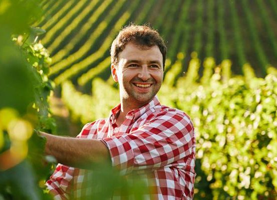 Weingut Jakob Schneider