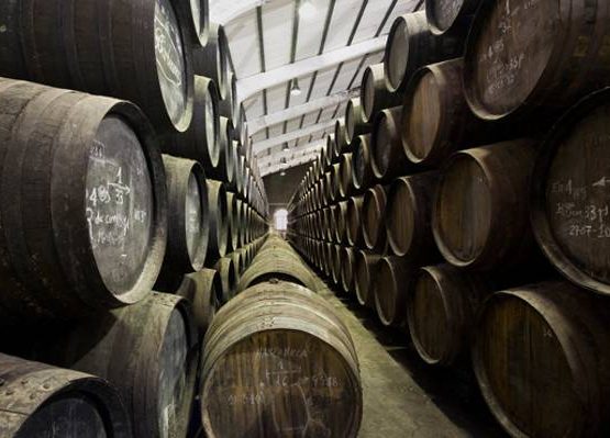 Bodega Delgado Zuleta