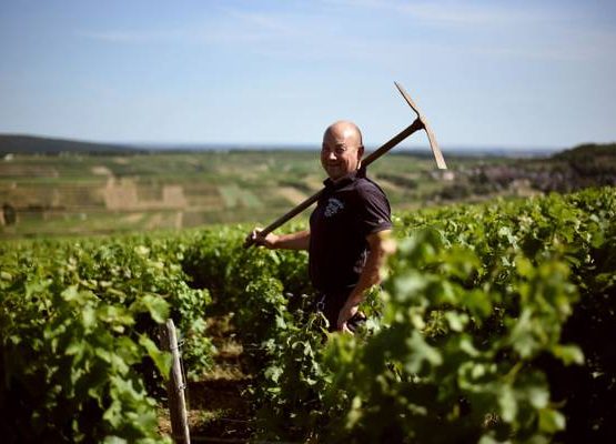 Fournier Père et Fils